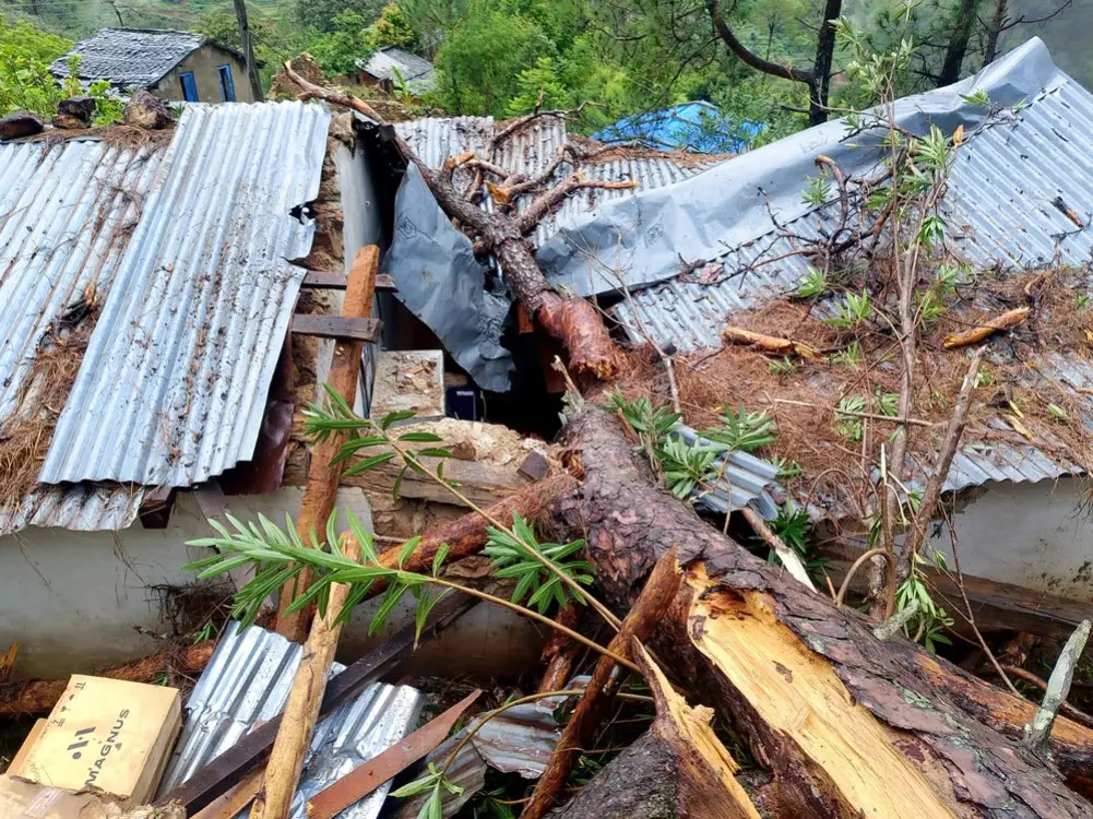 बैतडीमा रुख ढल्दा स्वास्थ्य चौकी भवनमा क्षति