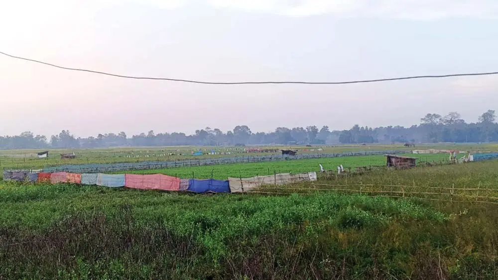 निर्वाचनभन्दा बालीको चिन्ता