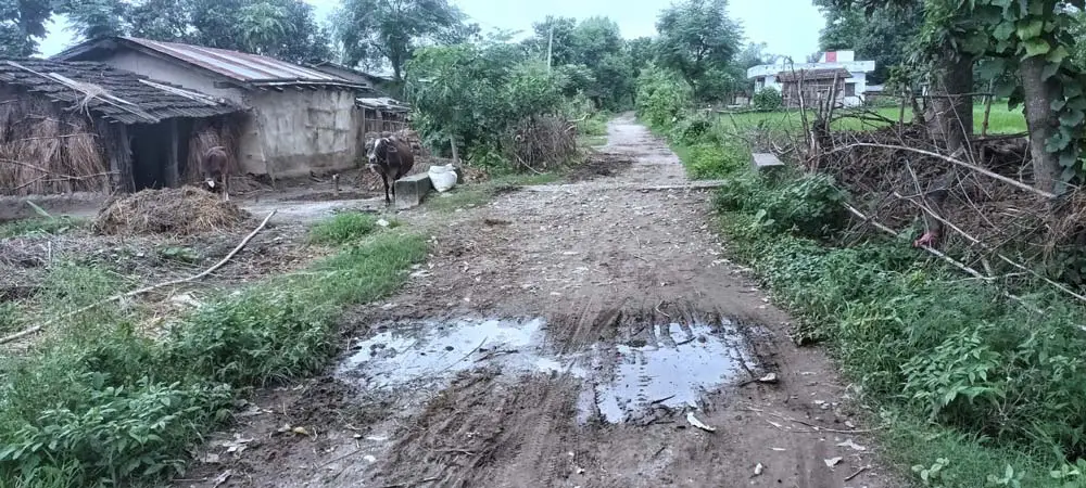 चक्रपथ निर्माण अलपत्र