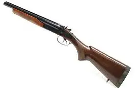 डडेल्धुरामा २ वटा भरुवा बन्दुक सहित १ जना पक्राउ