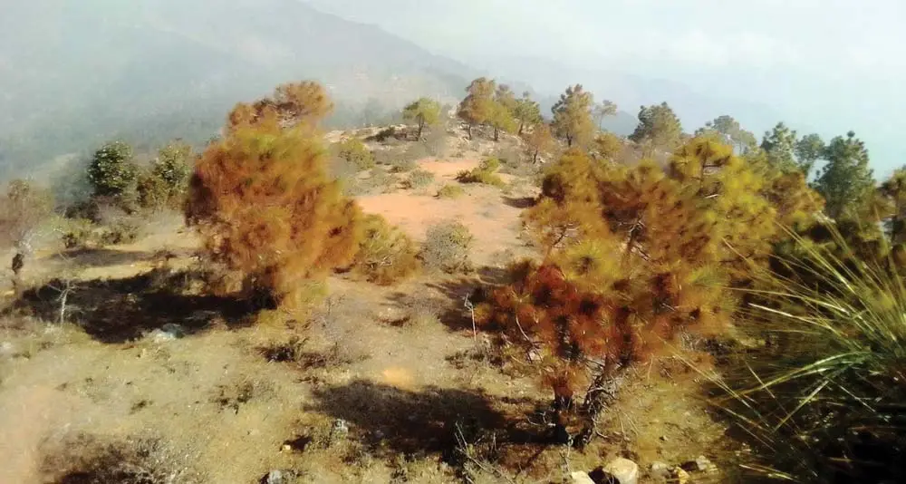 औद्योगिक ग्रामको काम अलपत्र