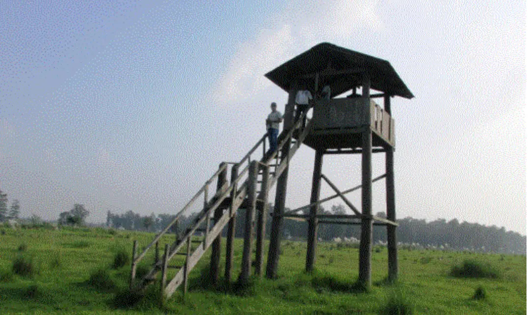 शुक्लाफाँटा राष्ट्रिय निकुञ्जमा जङ्गल सफारीका लागि रुट कायम