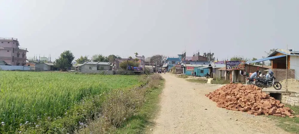 रोजगारी दिनेलाई बादी समुदायको मत