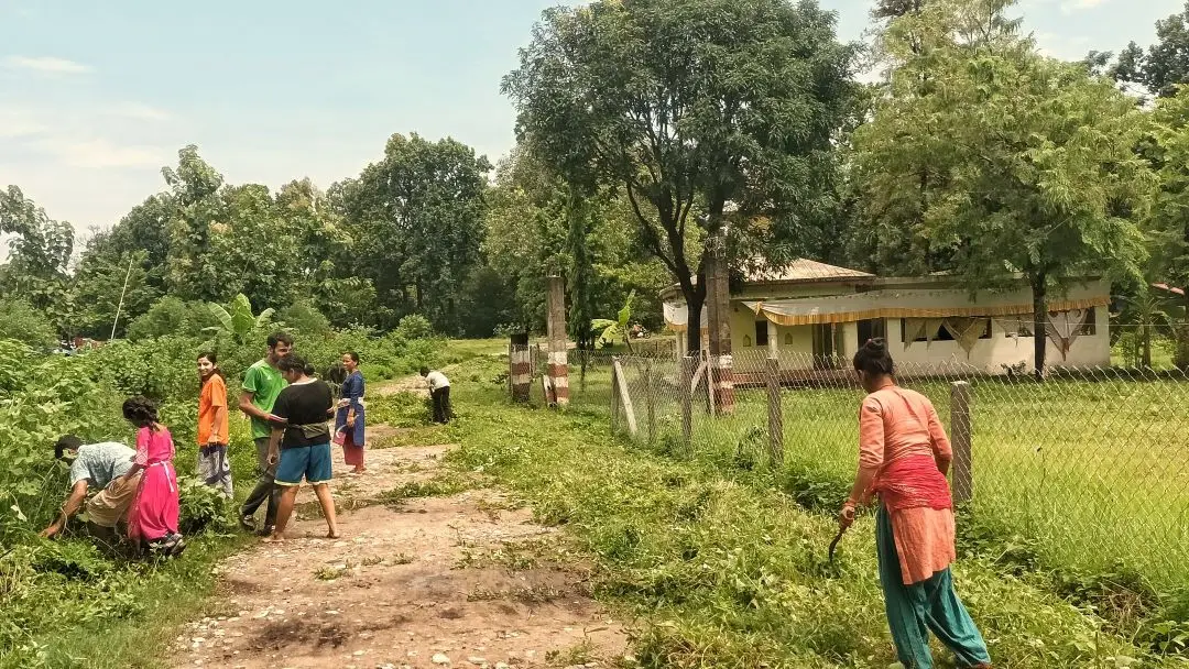 गौरा पर्वको उपलक्ष्यमा मन्दिरमा सरसफाइ