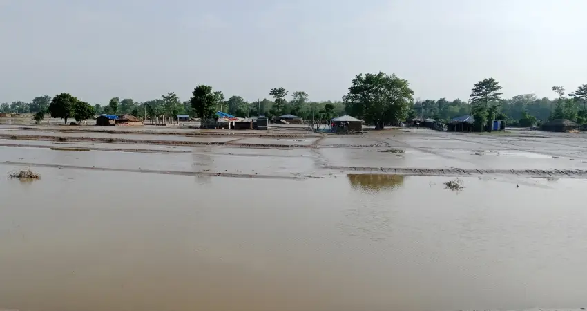 कञ्चनपुरको पटेरा खल्लाबासीलाई बाढीकै त्रास