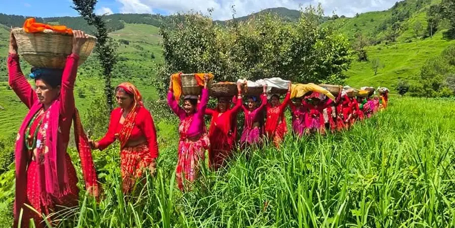 गौरा पर्वको आज दोस्रो दिनः बिरुडा धोइ न्वालाको गौरा मनाइँदै