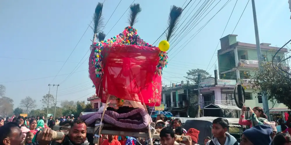 आधुनिकतासँगै सङ्कटमा पर्‍यो राना थारू समुदायको डोली–चन्डोल बोक्ने परम्परा