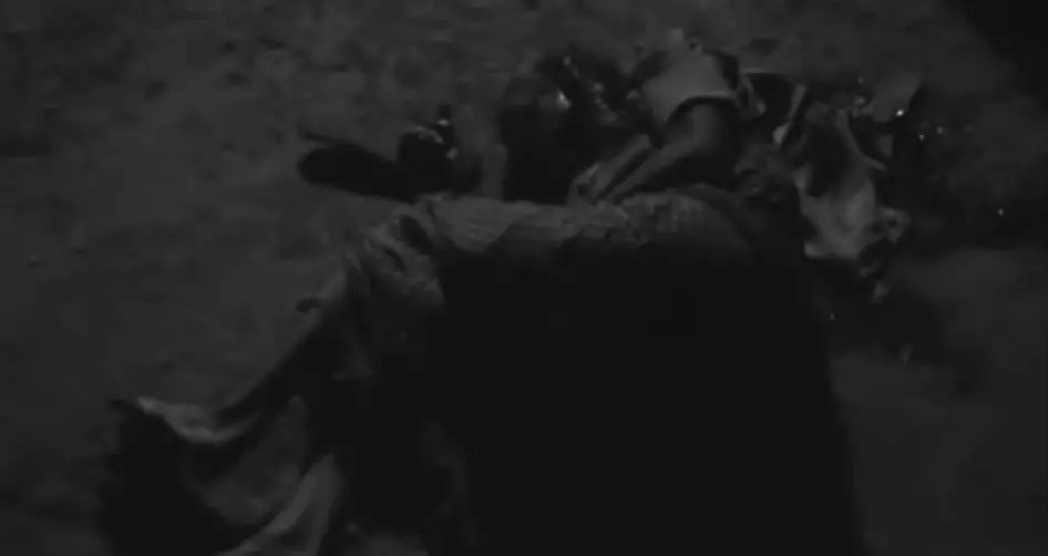 दोधरा चाँदनीमा छोराले गरे आमाको हत्या, दिदी घाइते  