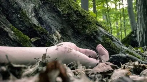 बैतडीमा भीरबाट लडेर तीन वर्षमा ४८ जनाको मृत्यु