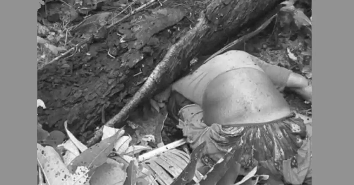 कैलालीमा रुखले च्यापिएर एक वृद्धाको मृत्यु