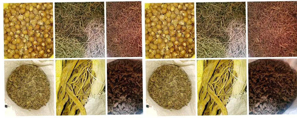 दार्चुलाबाट दुई हजार क्विन्टल हिमाली जडीबुटी बाहिरियो