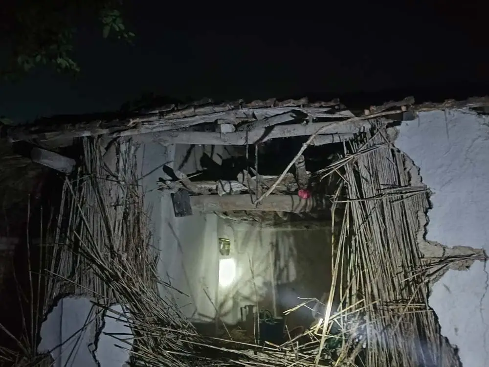 जङ्गली हात्तीको आतङ्क बढ्दै