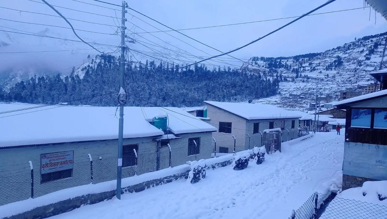 सुदूरपहाडमा भारी हिमपात, विद्युत् सेवा अवरुद्ध