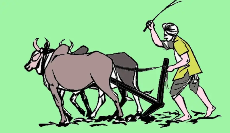 गोरु पाल्ने किसानलाई प्रोत्साहन रकम वितरण गरिँदै