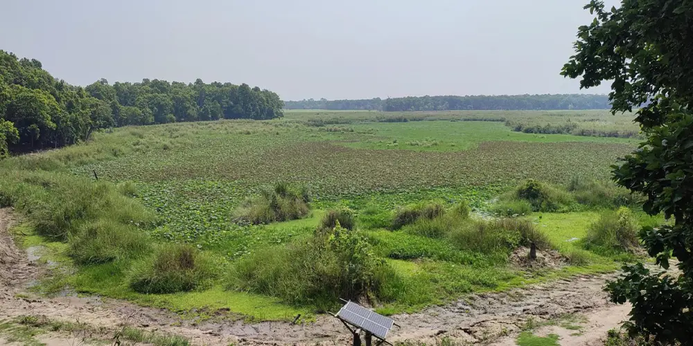 जलवायु परिवर्तनका दुष्प्रभावः सुक्दै शुक्लाफाँटा निकुञ्जका ताल