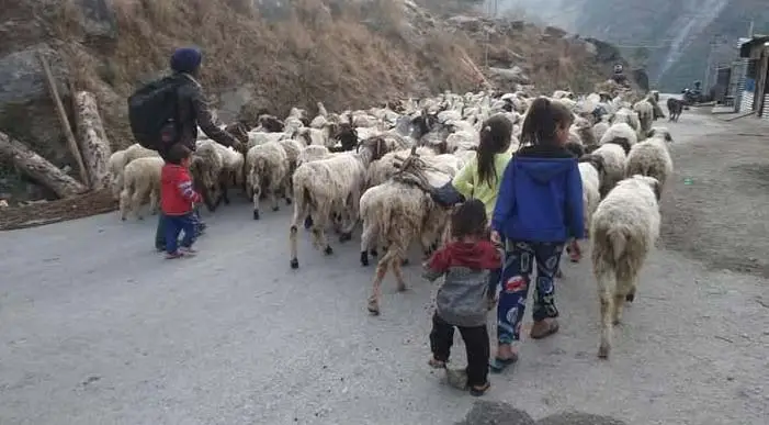 किसानलाई मतदानको समस्या