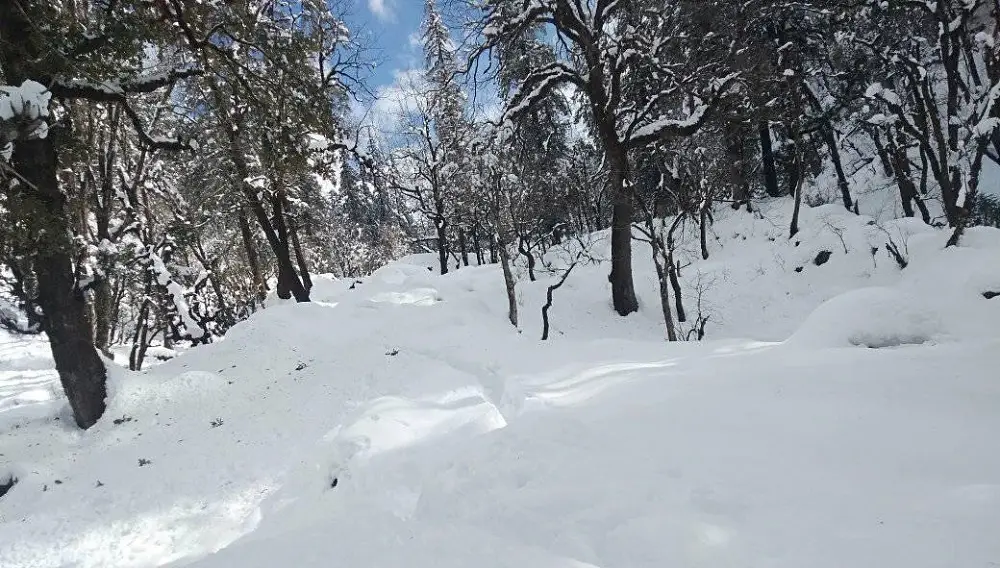 बाजुरामा वर्षासँगै हिमपात