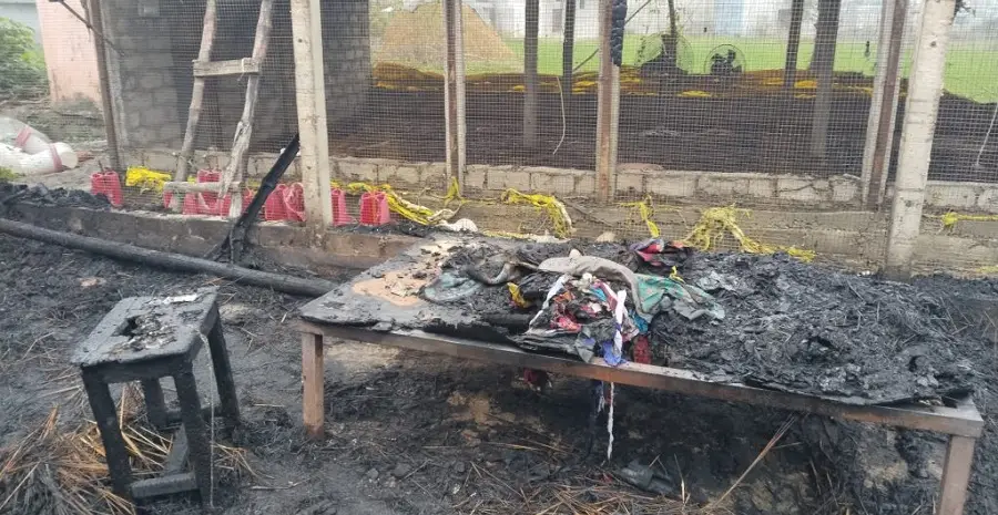 कुखुरा फर्ममा आगलागी : एक हजार चल्ला जलेर नष्ट, ११ लाखको क्षति