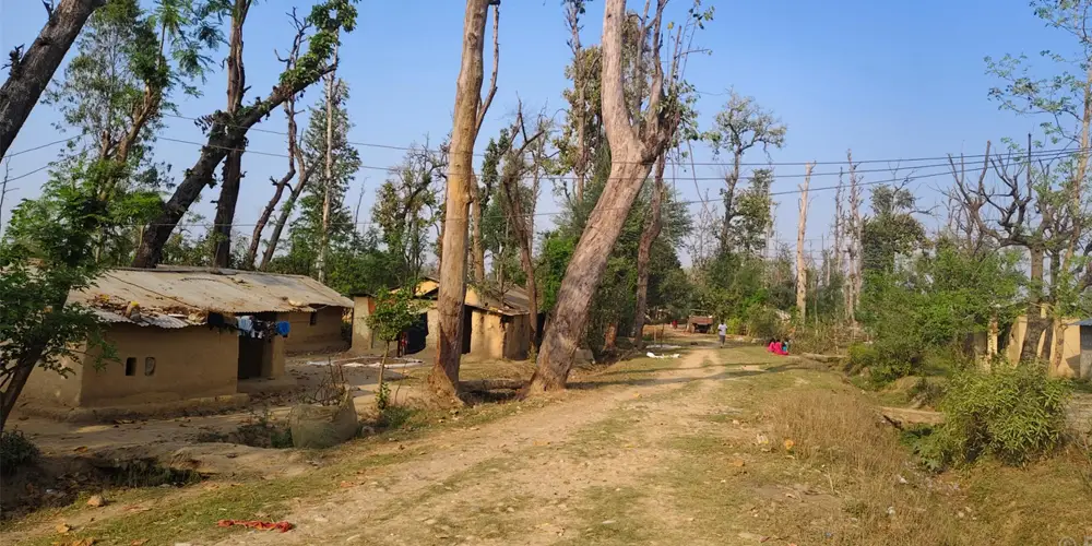हरेक निर्वाचनमा लालपुर्जाको आश्वासन