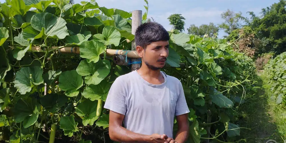 मौसमी सागसब्जी बेचेर मासिक दुई लाख आर्जन