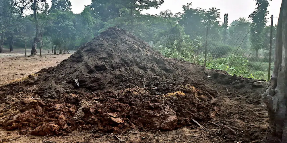 प्राङ्गारिक मलको प्रयोगले माटोको उर्वरा शक्ति बढ्यो