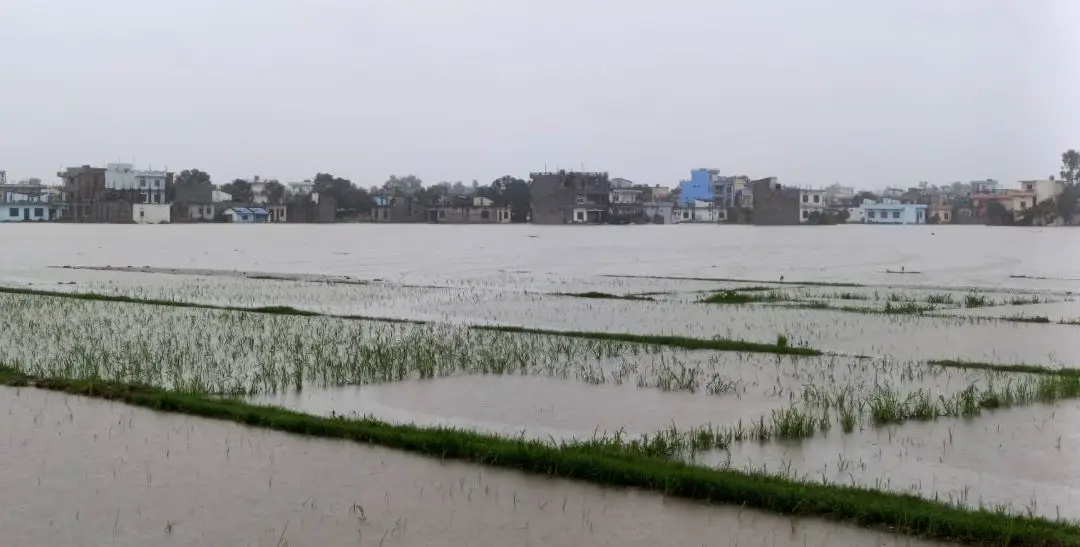 कैलालीको विपत् प्रतिकार्य योजना अद्यावधिक