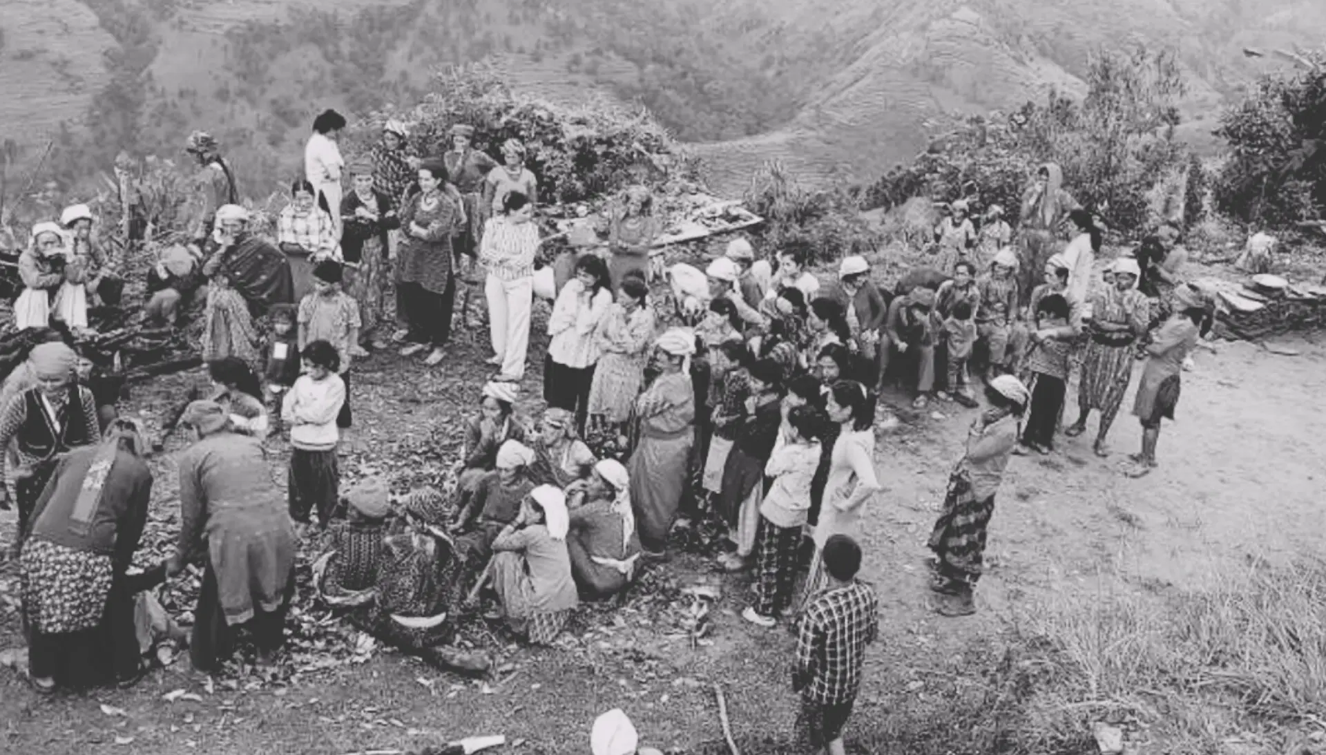 बैतडीको सिगासमा बन्चरो प्रहार गरी काकीको हत्या