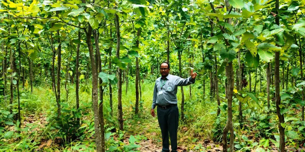 वन संरक्षणसँगै हराएका वन्यजन्तु फिर्ता आउन थाले