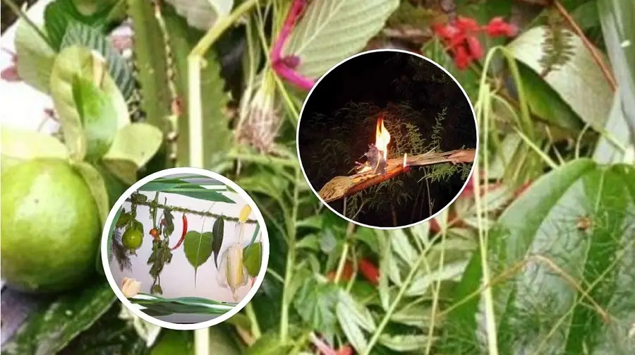 बैतडीसहित सुदूरपश्चिममा आज हरेली पर्व मनाइँदै